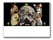 Little Aztec Warrior chihuahua kennel