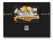 Del Blanco Gladiator dogo argentino kennel