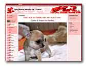 Des Monts Secrets de l'Oural Chihuahuas