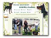 Desdihado Miniature Pinscher