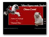 Chinese Crested Dogs Diamond Place