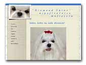 Diamond Shine maltese kennel