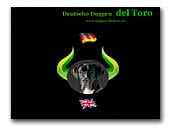 Deutsche Doggen del Toro