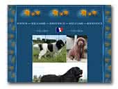 Domaine de la Fleur des Champs Newfoundlands