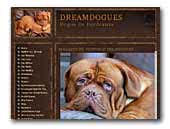 Dreamdogues dogue de bordeauxs
