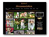 Kennel Dreamwishes - Kromfohrländer