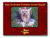 Dare To Dream Kennel