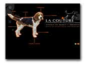 elevage de beagle de la Couture