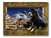 Kennel Elyok