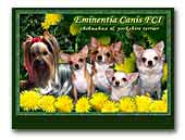 Eminentia Canis FCI