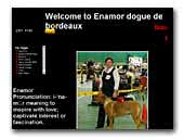 Enamor Dogue de Bordeaux