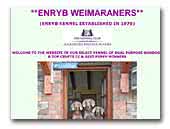 Enryb Weimaraners