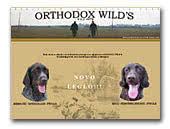 Orthodox Wild's