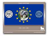 European Amstaff