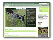 Fantastic of Miki Kennel