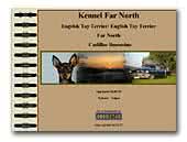 Far North's  English Toy Terrier