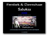Fernlark and Dawnchase salukis
