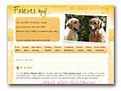 Forever My Golden Retrievers