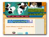 Glatthaar Foxterrier Aurorox