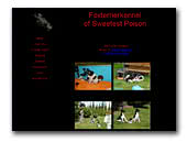 Foxterrierkennel of Sweetest Poison