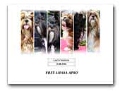 Frey Lhasa Apso kennel