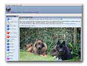 Fridlyckans Eurasier