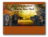 Gordon Setters From the Beaten Track