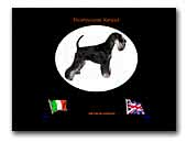 Miniature Schnauzers Frostmourne Kennel