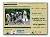 Full of the Dickens Bearded Collies