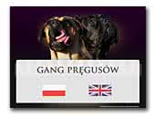 Gang Pregusow FCI