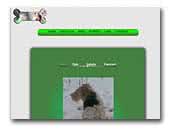 Gavrilos wire foxterrier