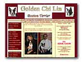 Golden Chi Lin Boston Terrier Kennel
