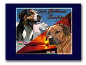 Kennel vom Goldenen Sandrücken