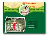 Parmen Auriu Golden Retriever Kennel