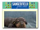Sangerfiled gordon setters