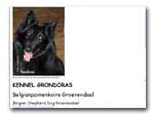 Kennel Grondoras Belgian Shepherd Groenendaels
