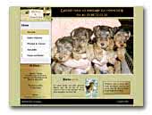 Welsh Terriers du Hameau du Laxon