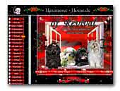 Havaneser of Revival