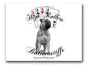 High Rollers