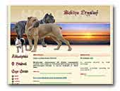 Błękitna Przystań FCI Cane Corso Italiano