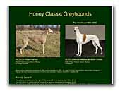 Honey Classic Greyhound Kennel