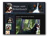 Hope vom Birkenbusch Berner Sennnenhund Deckrüde 