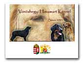 Vöröshegyi Hovawart Kennel