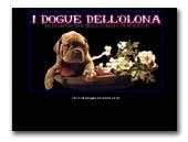 I Dogue dell'Olona