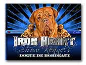 Iron Heart Show Kennels Dogue de Bordeaux