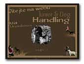 ivca-handling.ic.cz