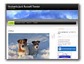 Wild with Delight Jack Russell Terrier