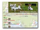 jackrussells.ru
