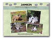 Jamkin hodowla PON