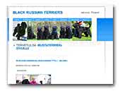 Mustaterrieri Black Russian Terrier